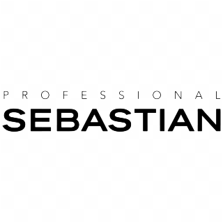 Logo Professionnal Sebastian